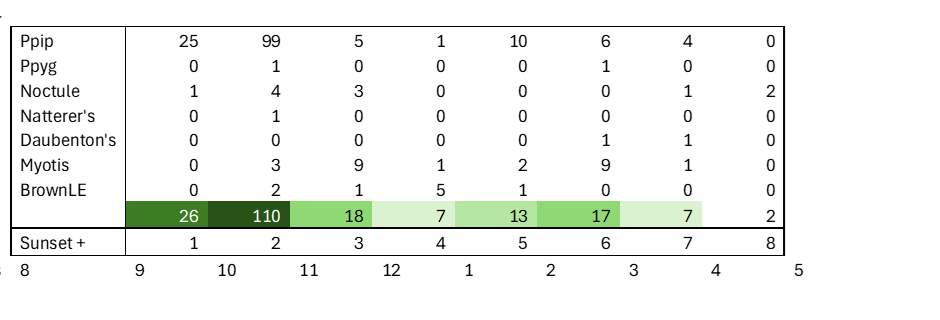 First analysis bat passes by species and by hour