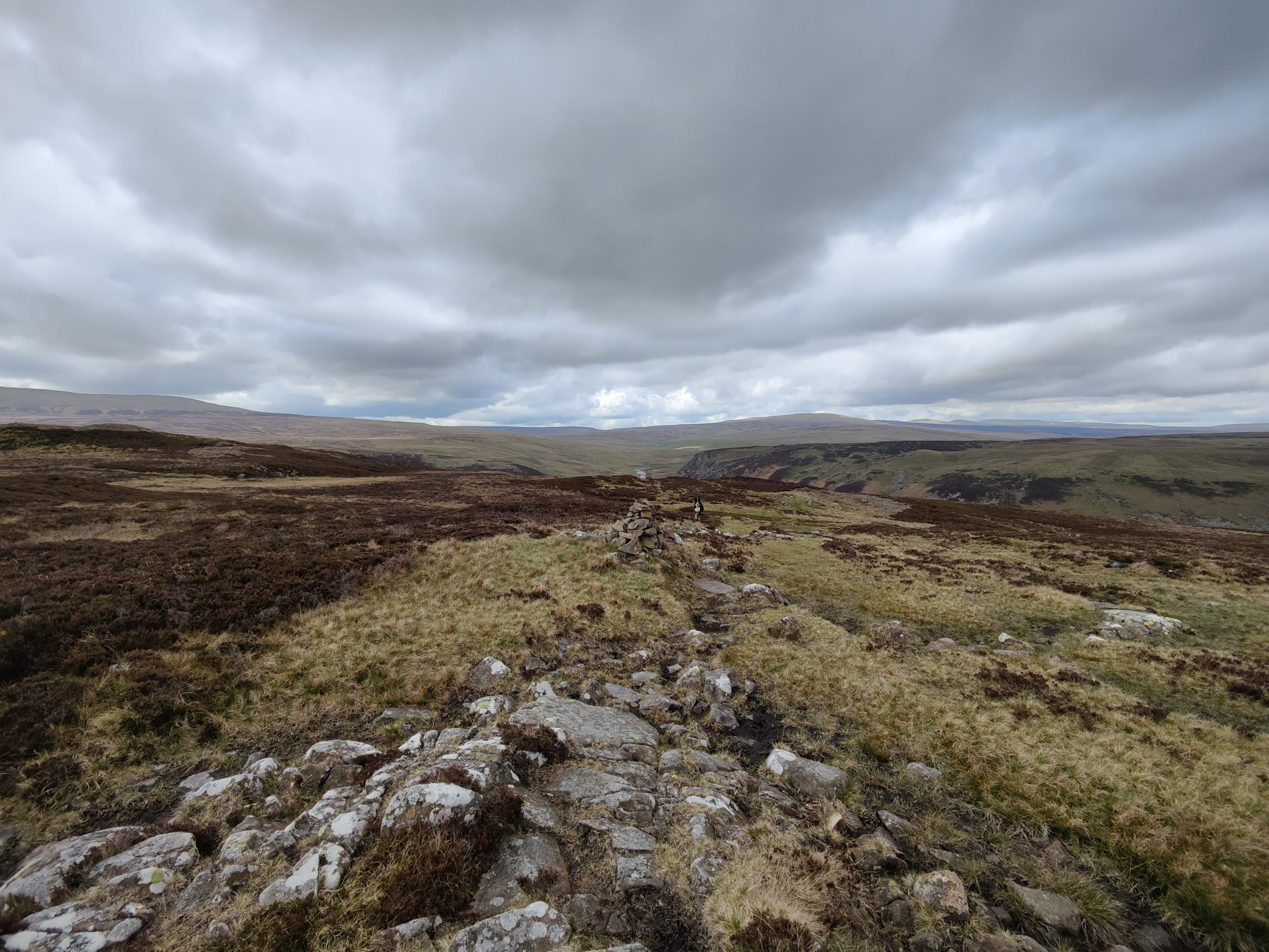 Upland Pennines