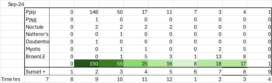 Second analysis bat pass by species and hour